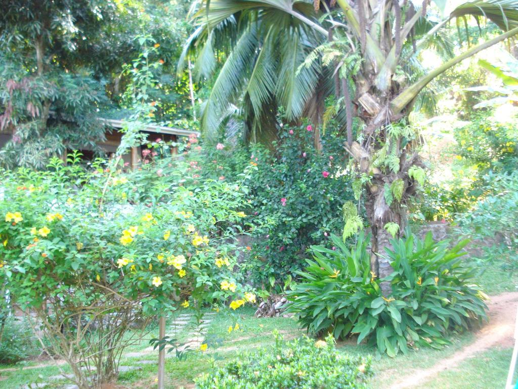 Cote Sud - Unique Villa & Bungalows Intendance Road Takamaka Szoba fotó