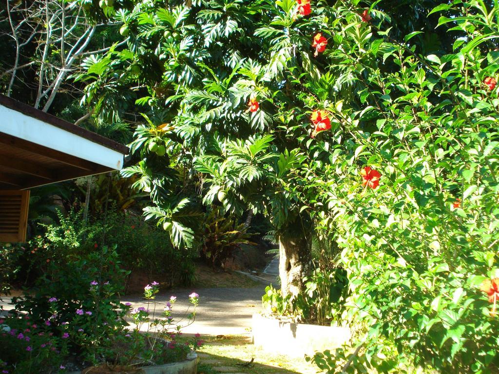 Cote Sud - Unique Villa & Bungalows Intendance Road Takamaka Szoba fotó